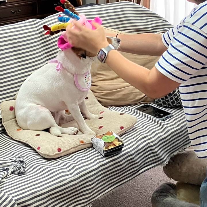 9d2767ce 3c3f 4c8f 84e7 5a3dc34c2e7d 1722904806330