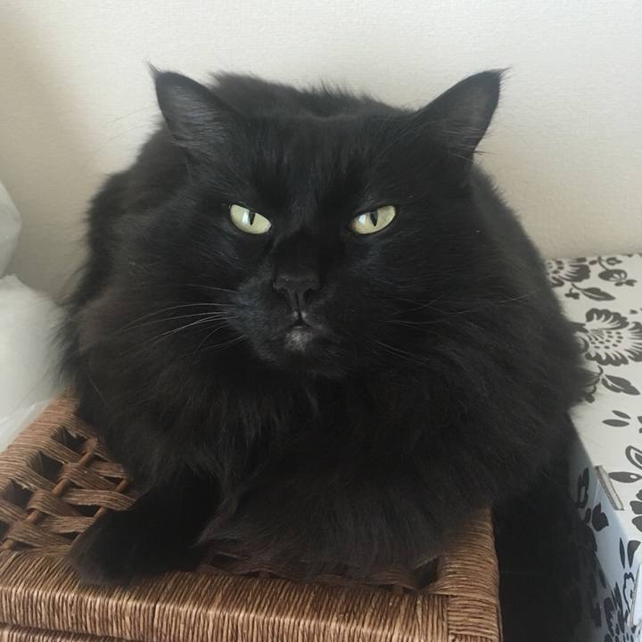 9d276a20 ab56 44c0 b85b 36d777b52eda 1544408348245