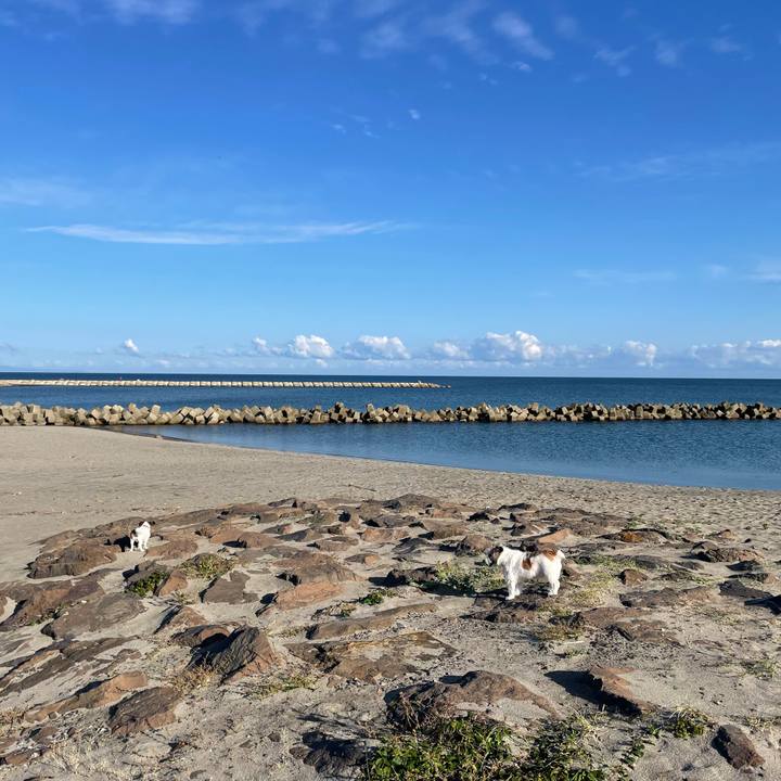 9d276ebf 92d4 4c32 a801 9bec8afc8fbc 1664413406715