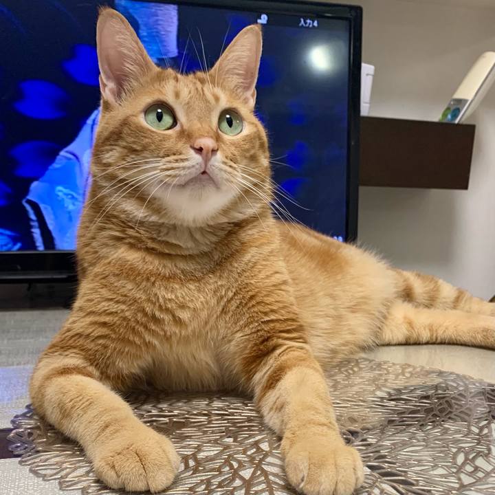 9d278295 4c88 4186 8e9e e7896d817f23 1635977729459