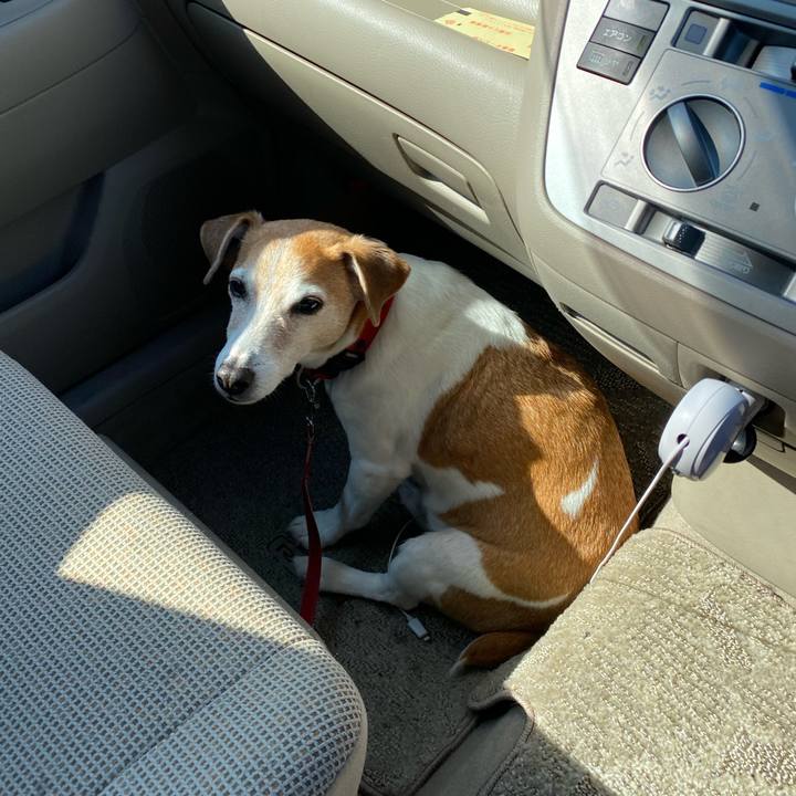 9d27a901 a32d 428b ac18 7375aee14a9b 1615716217883