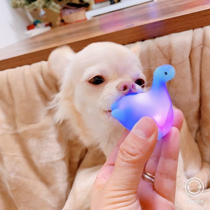 9d27c5fd a1ac 4054 94a5 68688260427c 1608792737350