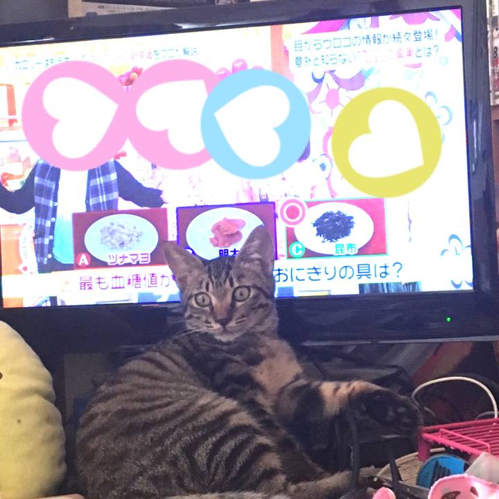 9d27e182 0c90 40eb 8e98 11581854f32f 1538972137499