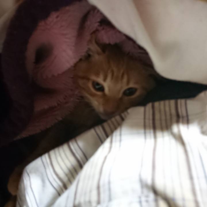 9d281c8b b62e 4a76 adfb 598bae2f24c9 1634414230972