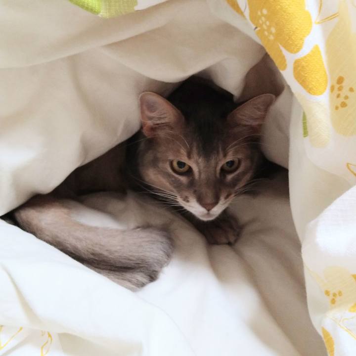 9d2832ea e49c 4a27 97d8 5bd630c17c26 1606696664998