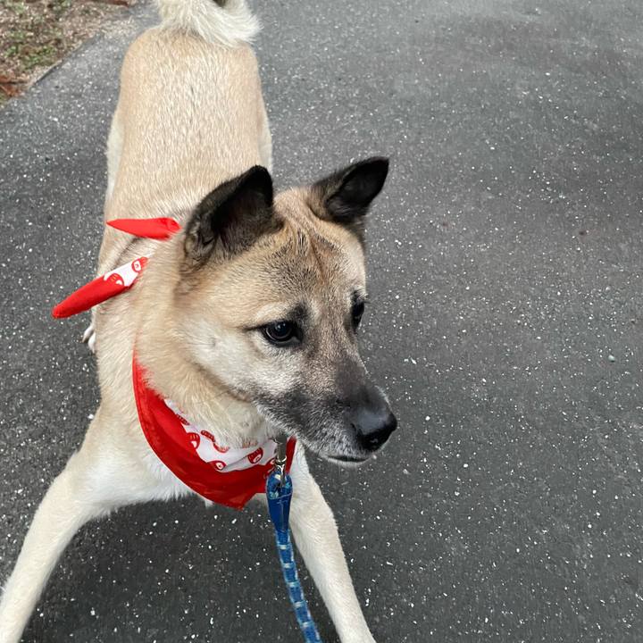 9d287171 bb55 40f8 81cb 82c915dd5406 1641382030792