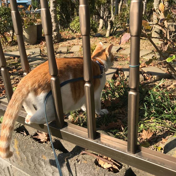 9d28774a 1652 49a1 a9d0 9751afc899f1 1510029077532