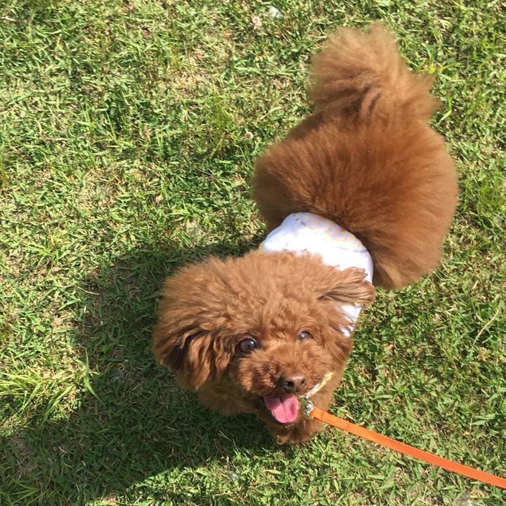 9d28903f eefe 4830 8974 92499539d070 1525601835455