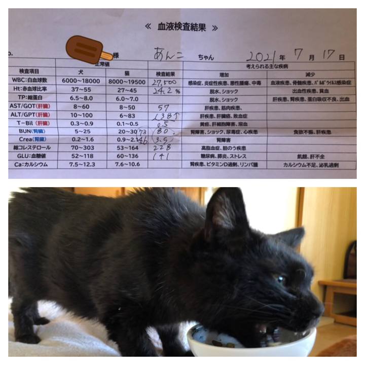 9d289851 379f 4684 8ab8 94d98c3666b1 1626504951803