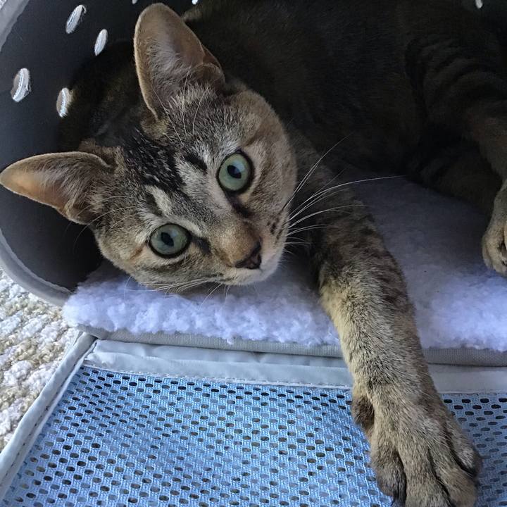 9d28cd33 4bb8 4926 b895 fd5eb3d56962 1588847197214