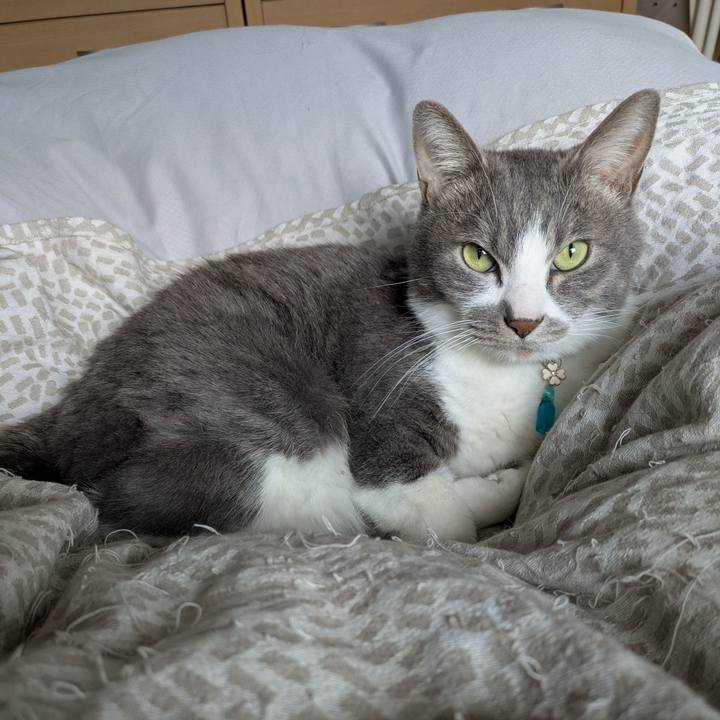 9d28eed3 724c 4cdf 8b35 ed9ee1b007b6 1740969324340