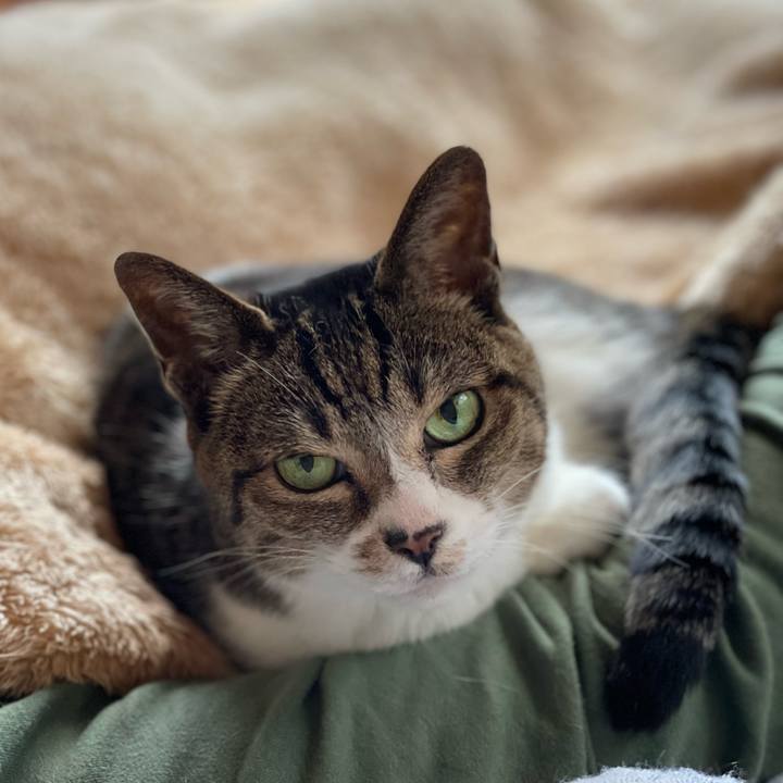 9d290169 7b48 401a 9f01 c9737da5a747 1651283439157