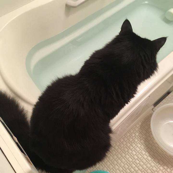 9d291eb6 a205 4ac0 83fc 05bb7322bd12 1519998570741