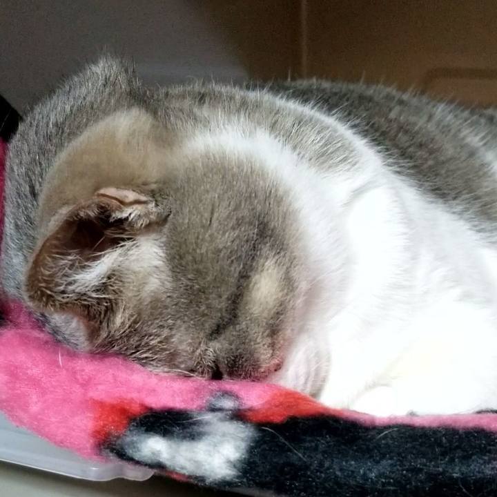 9d2927b6 9b69 4cbb b3bf fb5fc4d8735e 1682951844490