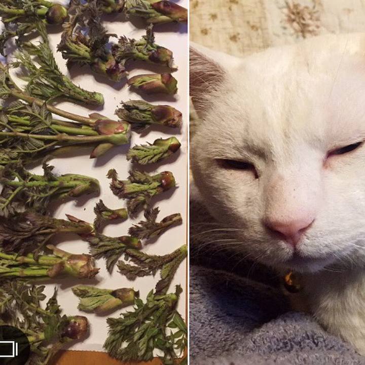 9d296476 f070 4a45 af98 f92ed3611e11 1555169680909