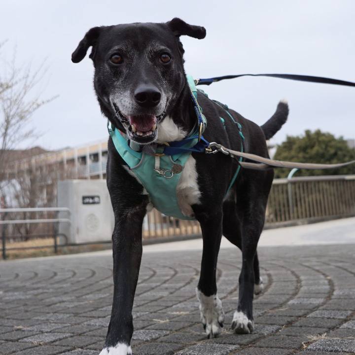 9d296f9f 92d1 4cad ae26 7f8568406951 1771893637053