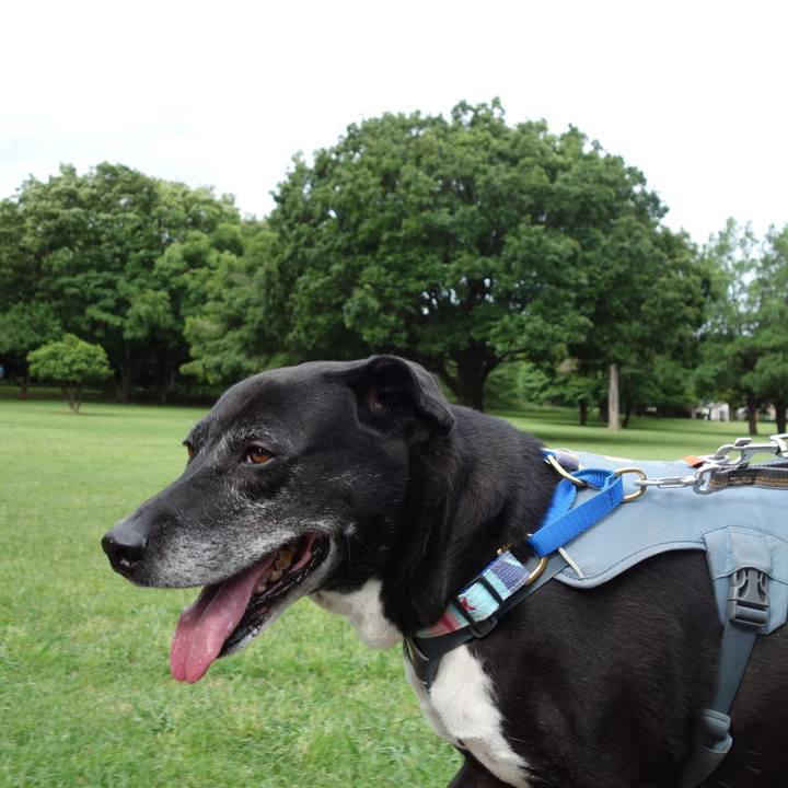 9d297d29 1f1f 4629 a868 1c764e1b79be 1748219777974