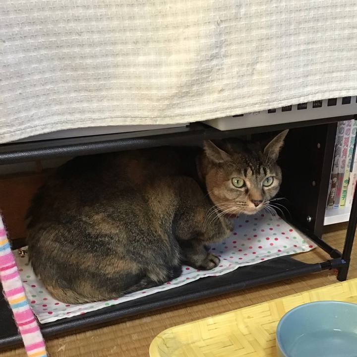 9d2985a4 e646 49cd 8104 406be4d9490a 1639210690286