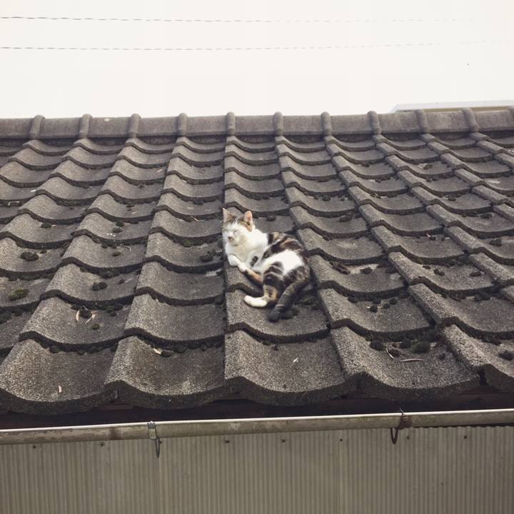 9d298c65 1cc5 48fe 8fa6 f5d213d30279 1553835498328