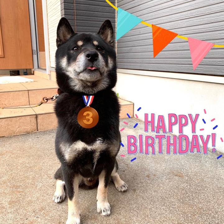 9d29a6c0 8332 4644 b213 ba9687e8fe3b 1575124154377