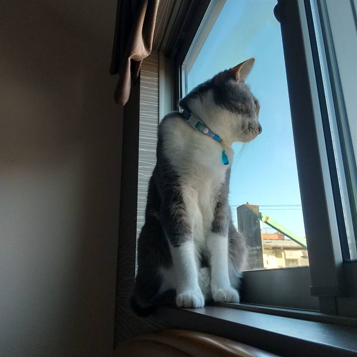 9d29f3d8 5991 43d9 a07c 250aeb2232a8 1641610912670