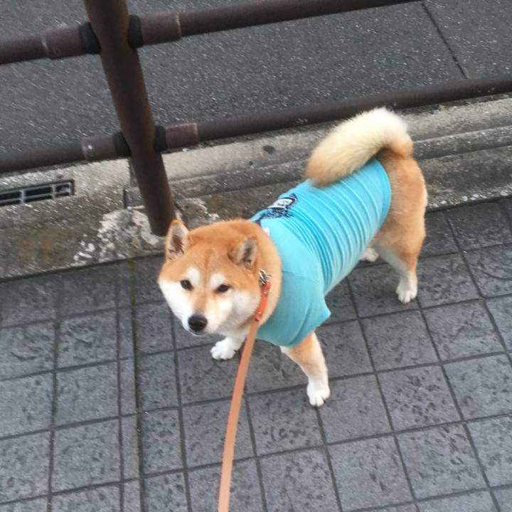 9d29f3e2 ca92 4a03 86d1 119fb5b3a608 1546589449095