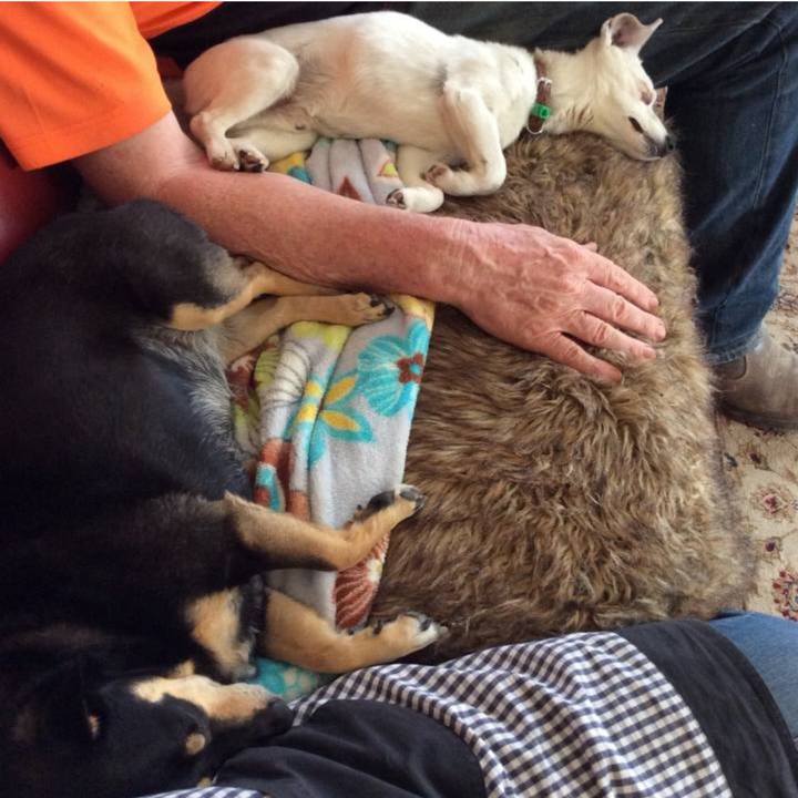 9d2a3eba c6e3 4e63 8779 9a535fb2993e 1762129886298