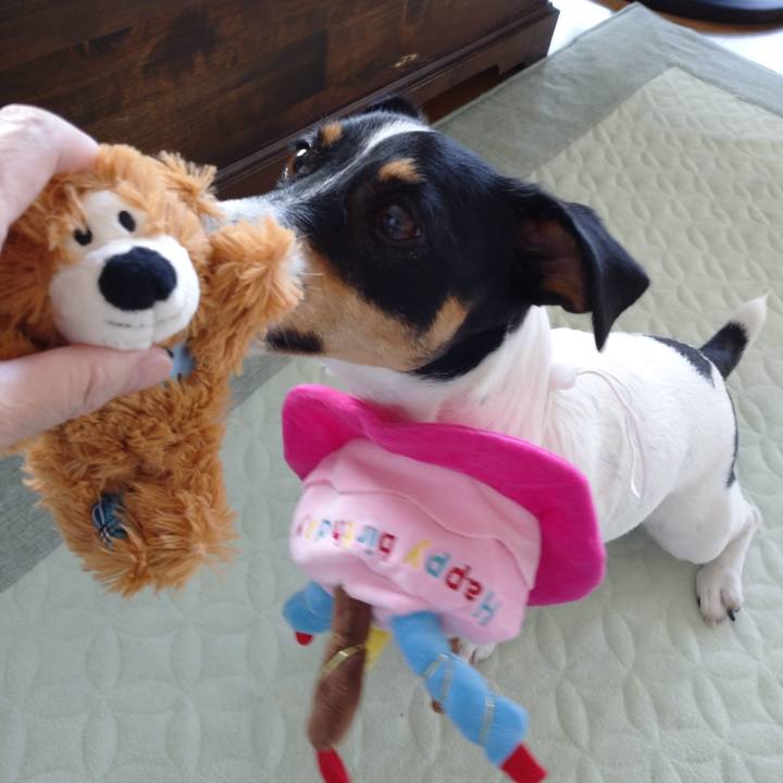 9d2a466a 52e4 41cb 9371 1498d8dea249 1597452621937