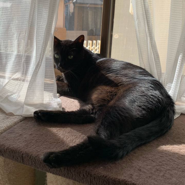 9d2a6c6f 6904 4dd6 a1e4 42dca84c752d 1598835903323