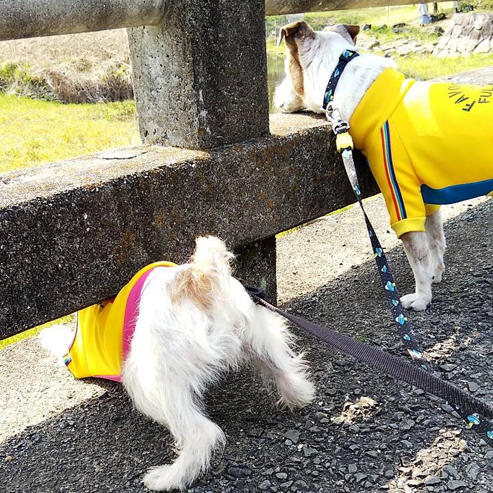 9d2a7cbc c249 4b48 b61c 672f51341210 1554531150226