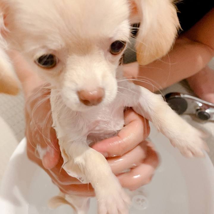 9d2a8ae6 335f 4a92 8238 cb338899f8bf 1703246558608