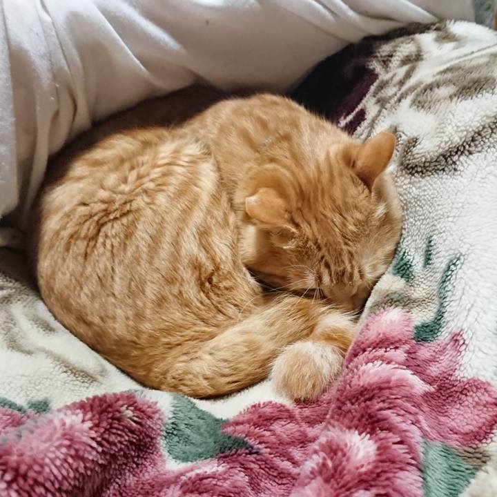 9d2b049e 09de 4d82 805c 7c5e9e1e76d3 1643718903222