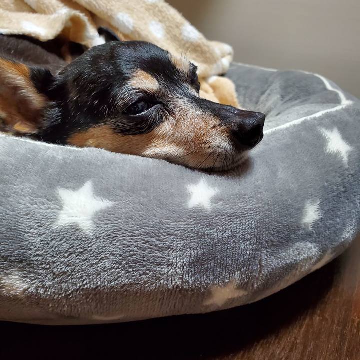 9d2b1719 aa1b 485c a00d 90612669269b 1667738965294