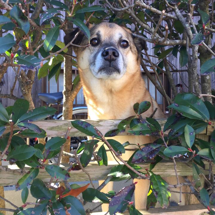 9d2b36b8 285a 4b3d 8140 49e59ce0be76 1518568434335