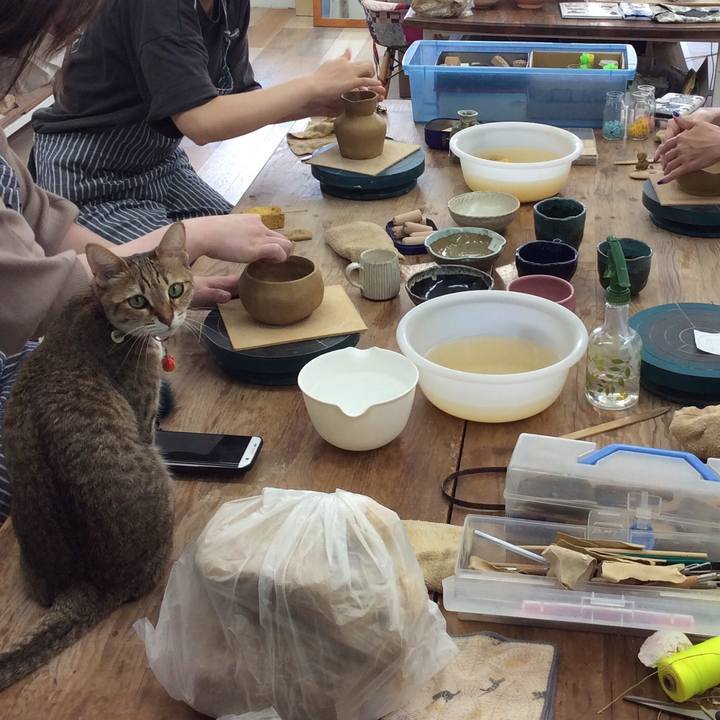 9d2b3c5c 845c 43a4 8bad 08059db5f677 1651486821607