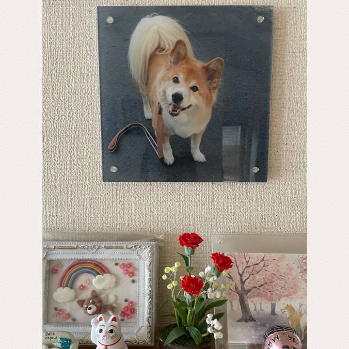 9d2b794b 3095 44a6 987b 28004eef355c 1662115904285