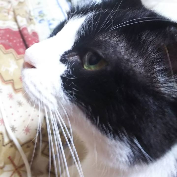 9d2b8f27 023c 42be a998 53071a6b6911 1569880364891