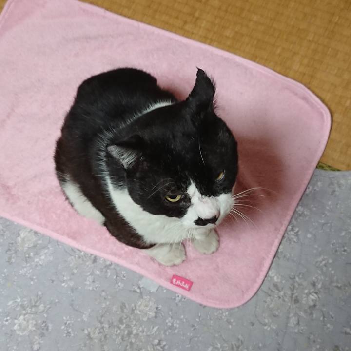 9d2b99d2 e42f 4168 b3e3 853bd0233625 1611214691836