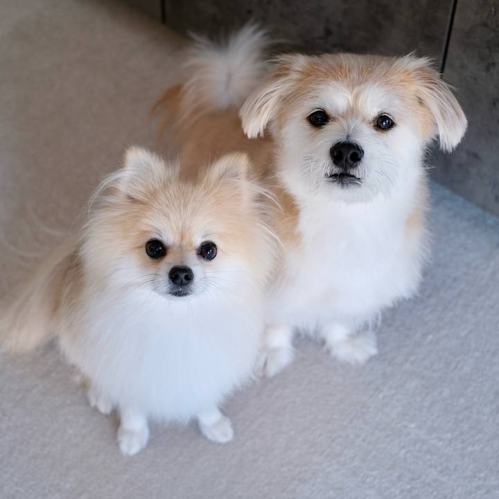 9d2bdfe0 f779 4590 bf25 a595f5eb1a43 1759787901671