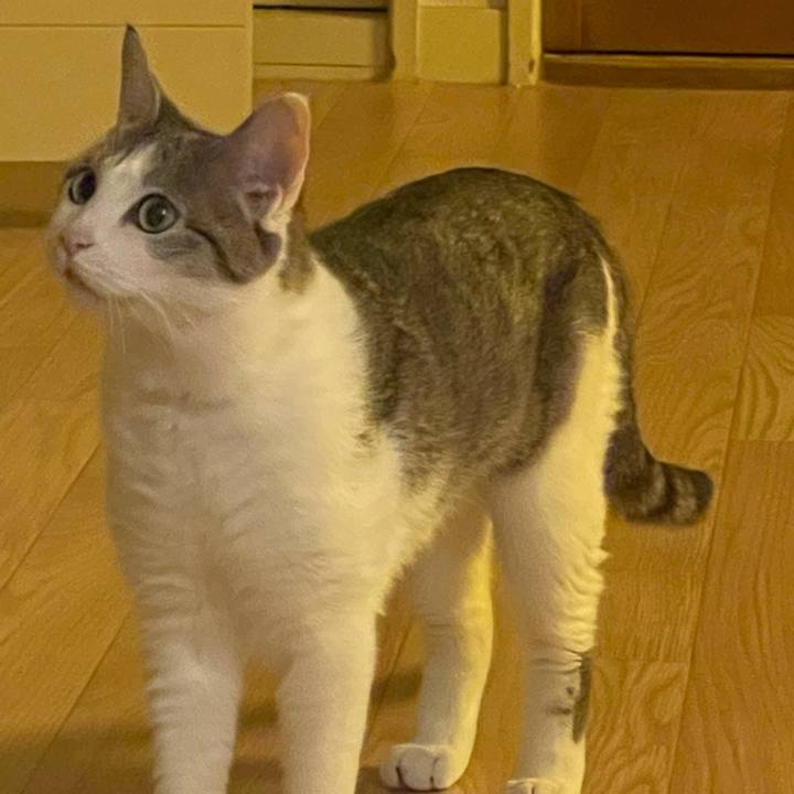 9d2bef1a 86ce 4fbc 8b8b f6286fcfcdcc 1625305439722