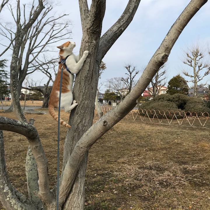 9d2bf780 8a19 4eb5 a0a7 8e9b2963ee93 1516424148066