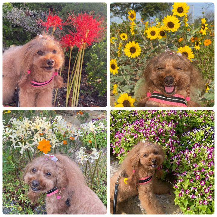 9d2c0216 cfe5 40f2 9066 f2945f022539 1759366956830