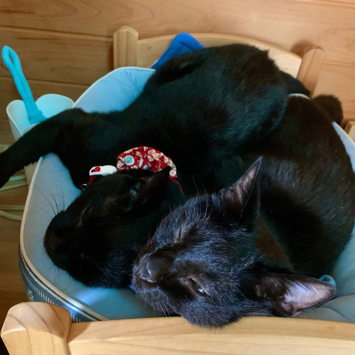 9d2c4f21 9f20 4dcf a418 4b172926d1e5 1625533975736