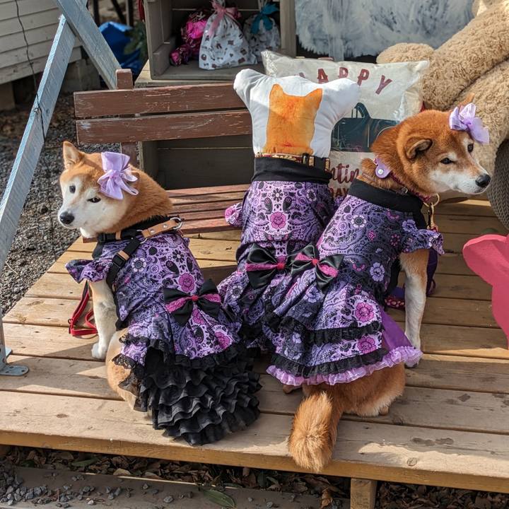 9d2c95f9 d403 4f8e b96e 6f39ec831d44 1706666698375