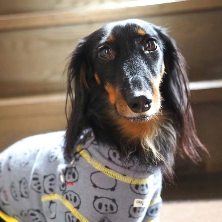 9d2cea1d bf45 4ae9 ac8c 3c2d9f2b9e1a 1520724412984