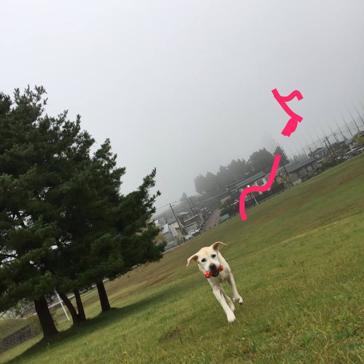 9d2cf193 e7e2 42d5 b4e2 517bcda83cfe 1697627758346