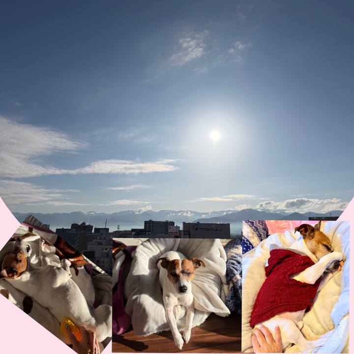 9d2cf352 9d19 4585 9bcb bcac3883a977 1773301866984