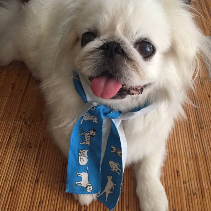 9d2d0383 6942 4567 81af 52c3bcafe550 1564667026019