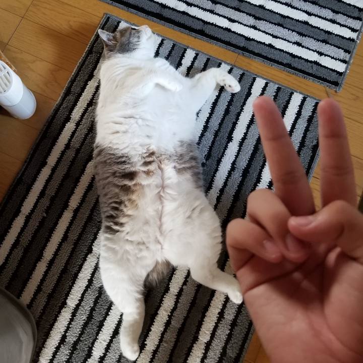 9d2d0694 c127 440b a662 c5a182edbcca 1660192104280