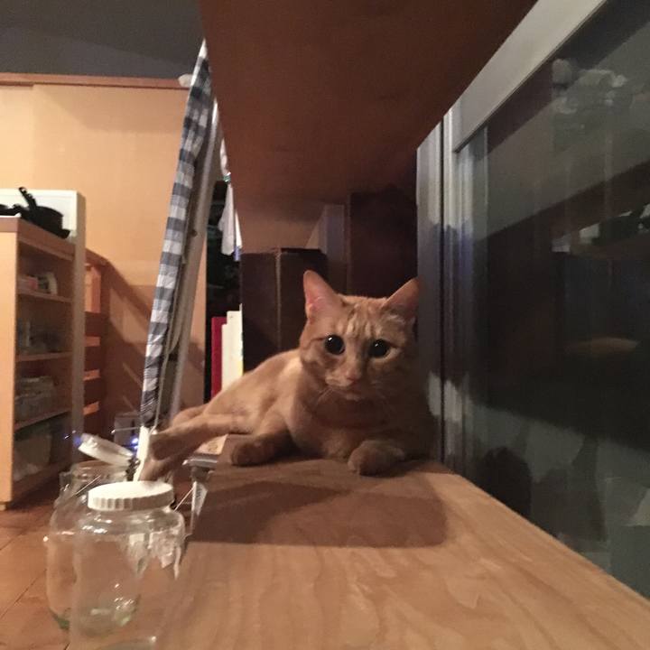 9d2d0867 8a02 44ea 913f 16ec79f98888 1561508704682